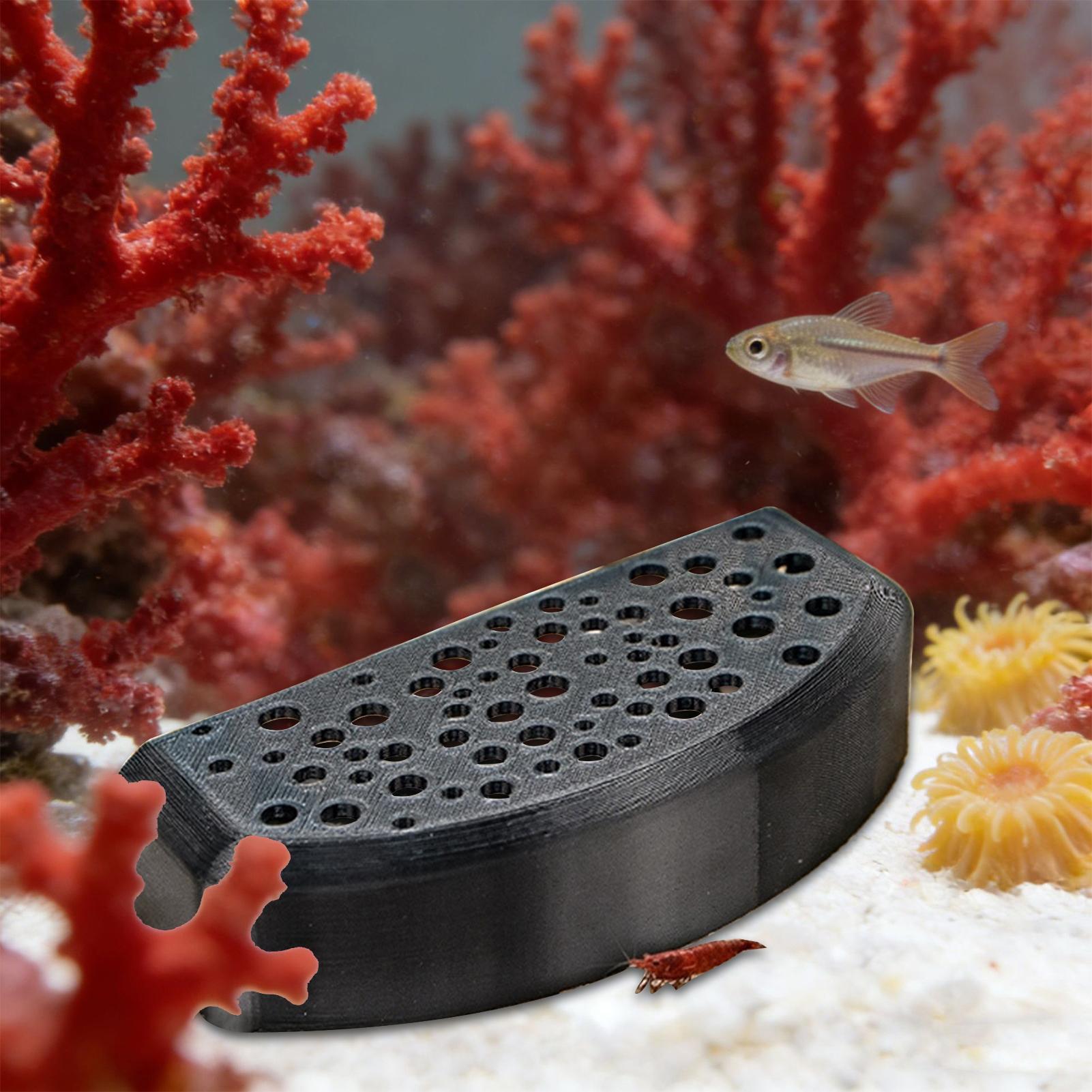Aquatic Zone - Su Ürünleri Evcil Hayvan Dinlenme Süsü