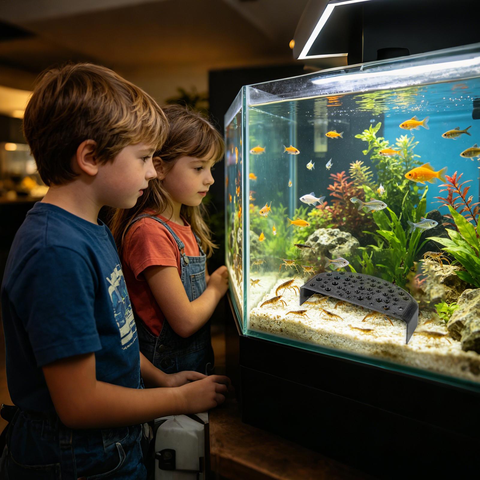 Su Ürünleri Evcil Hayvan Dinle - Aquatic Zone incelemesi ve fiyatı