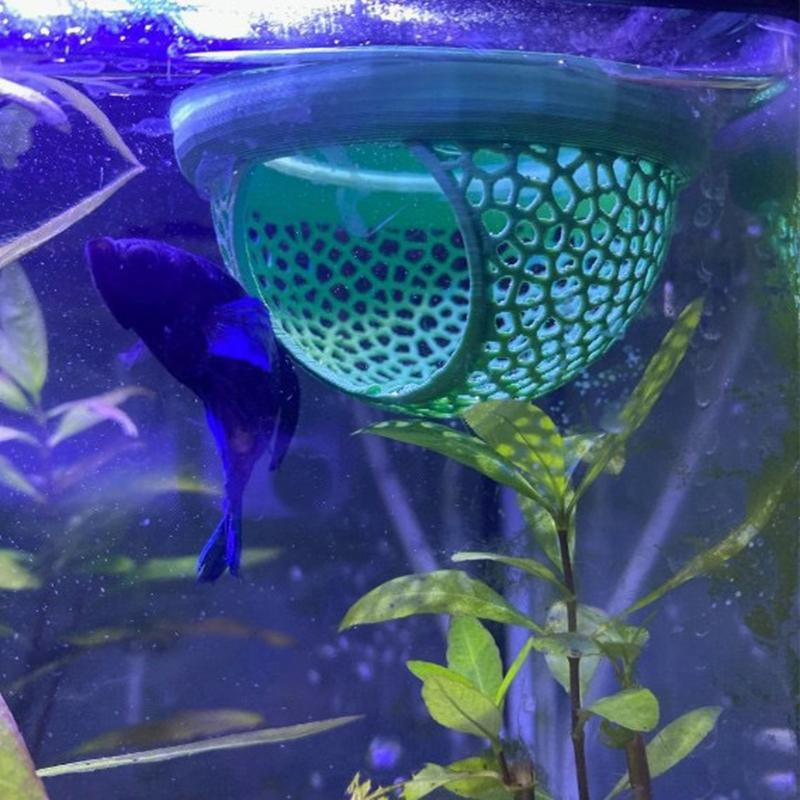 Betta ve Karidesler için Akvar - Aquatic Zone incelemesi ve fiyatı